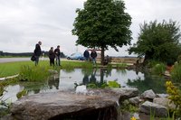 Teich.jpg
