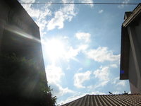 IMG_1115.JPG