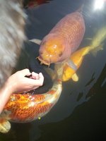 100_4043.jpg
