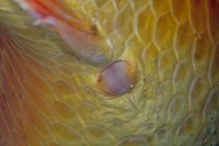 _DSC0186.jpg
