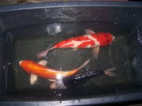 100_4442.JPG