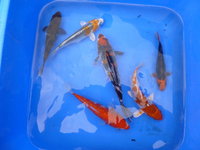 Mix 3-2.jpg