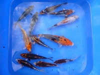 Mix Low 7-1.jpg
