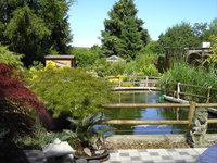 garten2009 001 (FILEminimizer).JPG