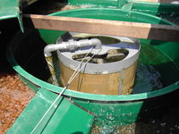PICT1210 (FILEminimizer).JPG