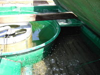 PICT1216 (FILEminimizer).JPG