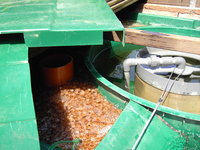 PICT1217 (FILEminimizer).JPG