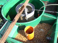 PICT1260 (FILEminimizer).JPG