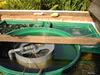 PICT1269 (FILEminimizer).JPG