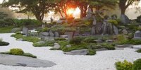 Brhav-sonne-start-5923_small1.jpg