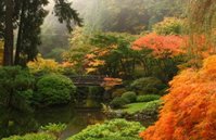 Japanischer-Garten_shutterstock_2374236-464x300.jpg