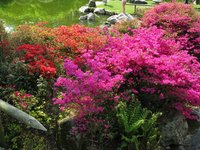 IMG_1532.jpg