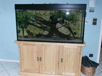 Aquarium (Small).JPG