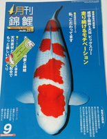 Koi Magazin Nishikigoi Monthly 1.jpg