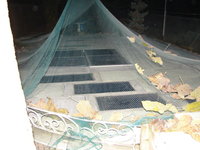 DSC01004.JPG