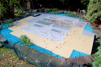 2011 11 14 029.jpg