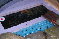 2011 11 14 044.jpg
