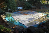 2011 11 14 036.jpg