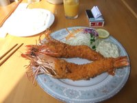 garnelen.jpg