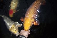 100_6787.jpg