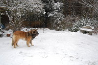 2010 12 03 012.jpg