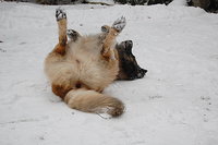 2010 12 03 019.jpg