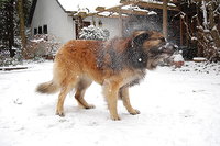2010 12 03 026.jpg