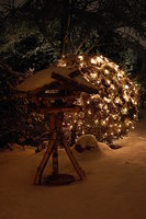 2010 12 08 009.jpg
