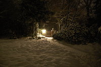 2010 12 08 011.jpg