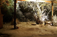 2010 12 08 017.jpg