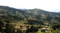 Panorama.jpg