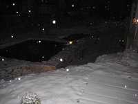 Teich 003.JPG