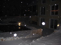 Teich 004.JPG