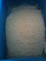 ImageUploadedByTapatalk1324736586.643599.jpg