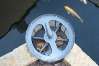 IMG_2075.JPG
