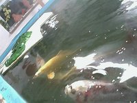 mini-IP Camera-18.23.18_1.bmp.jpg