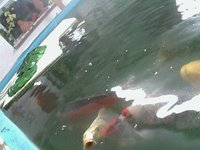 mini-IP Camera-18.28.53_3.bmp.jpg