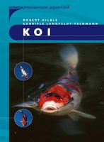 kosmos_088960.jpg