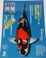 Koi Magazin Nishikigoi Monthly 4.jpg