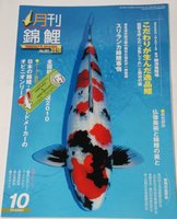 Koi Magazin Nishikigoi Monthly 6.jpg