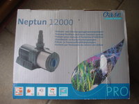 DSC02007.JPG