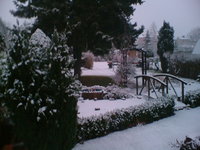 winter januar 2012 002.jpg