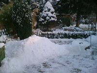 winter januar 2012 006.jpg