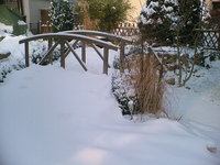 winter januar 2012 004.jpg