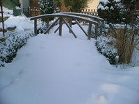 winter januar 2012 002.jpg