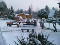 winter januar 2012 001.jpg