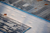2012 01 31 001.jpg