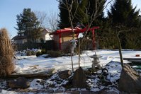 T 04022012 003.JPG