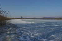 Mettnau 05022012 002 - Kopie.JPG