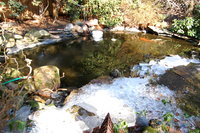 K01.jpg